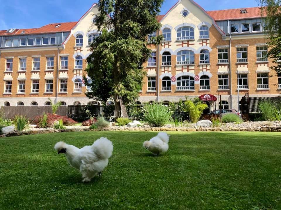Готель Kunstwerk B Троссінген Екстер'єр фото